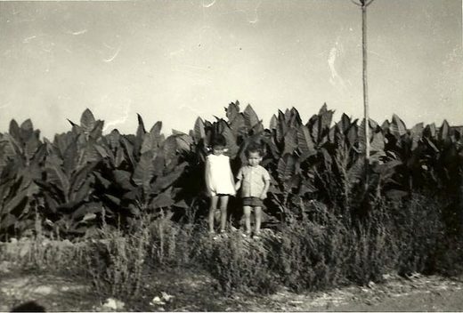 Año 64. Mi hermano Bernardo y yo (Mª Victoria) en el tabaco.