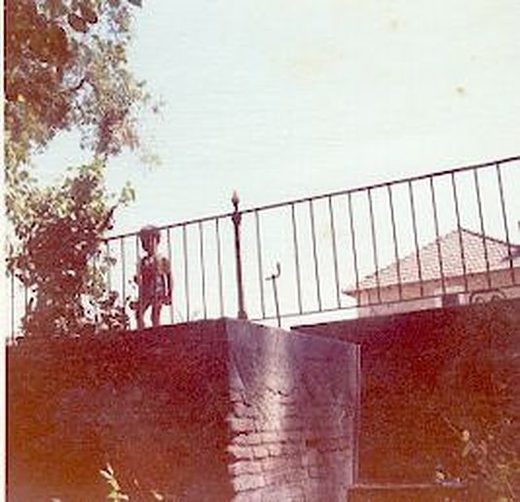 El jardín, al fondo se ve la cochera, el año de la foto es 1973