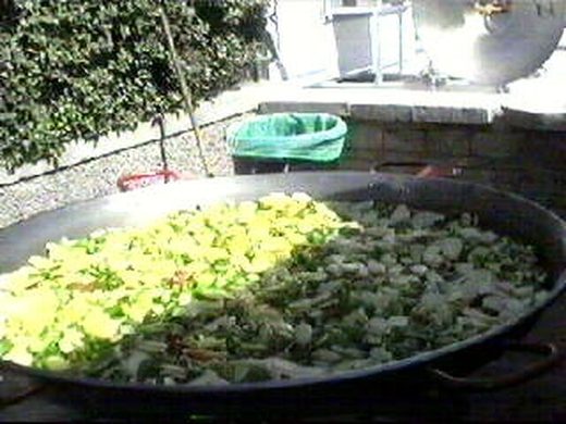 Foto 19
