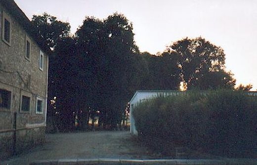 Los dados (el jardín)