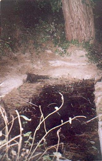 El estanquillo