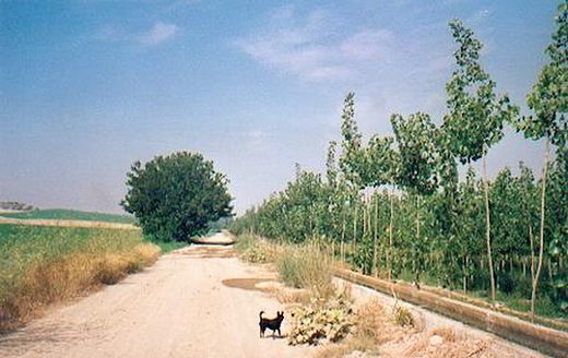 Camino del estanquillo