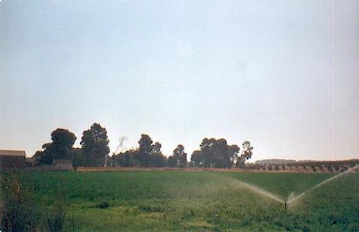 Vista del Jardín desde el Estanquillo