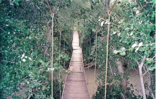 La antigua "Trampa" (puente colgante)